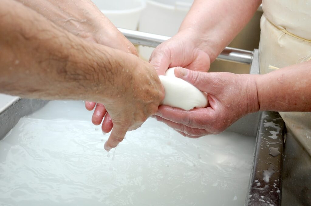 Hands stretching fresh cheese curd over milky whey in Piedmont.