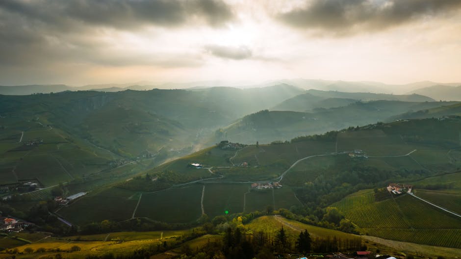 Weinberge und hügelige Landschaft bei Alba im Piemont, Lichtstrahlen.