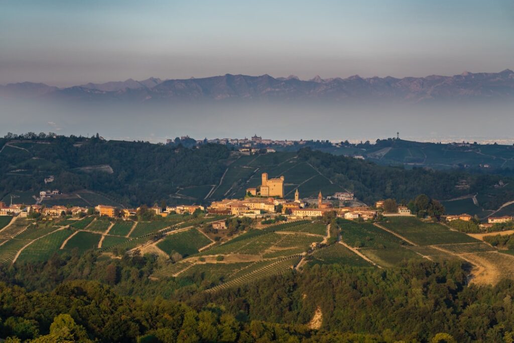 Villaggio con castello tra vigneti sulle colline del Piemonte all'alba