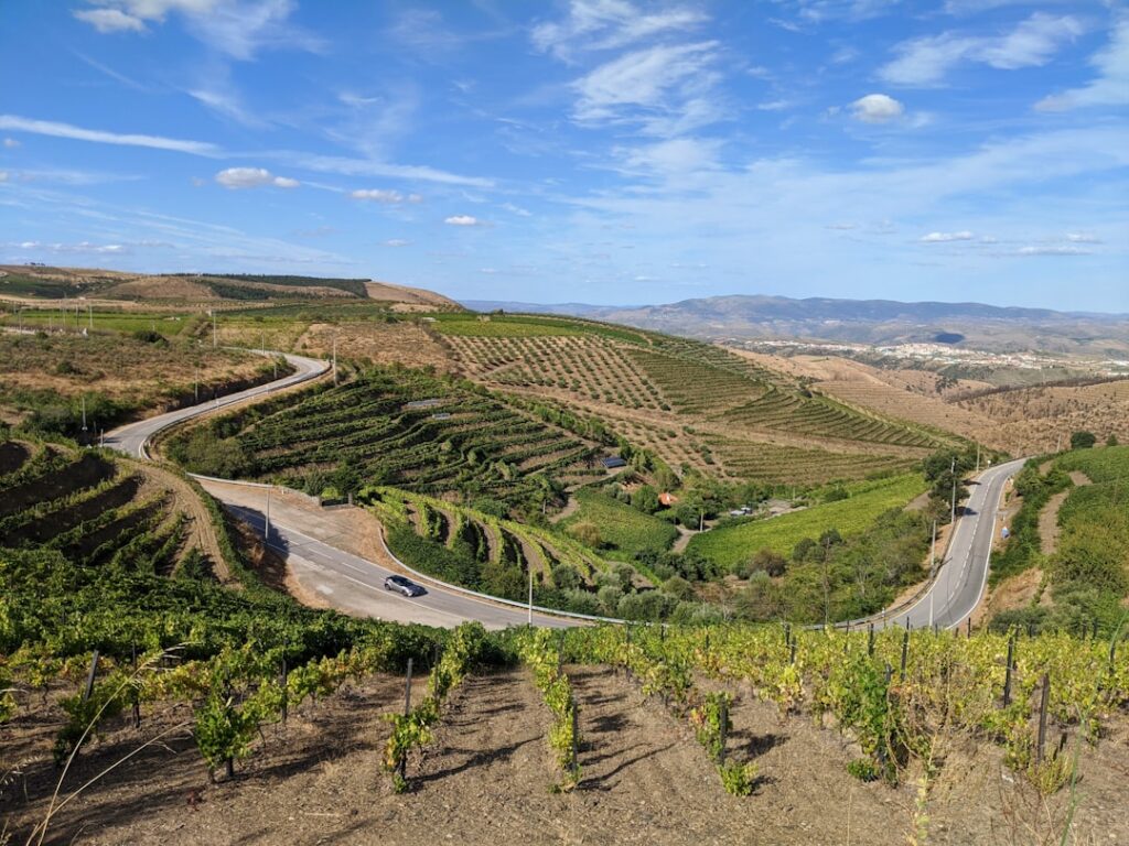 Strada tortuosa tra vigneti terrazzati e colline verdi del Piemonte
