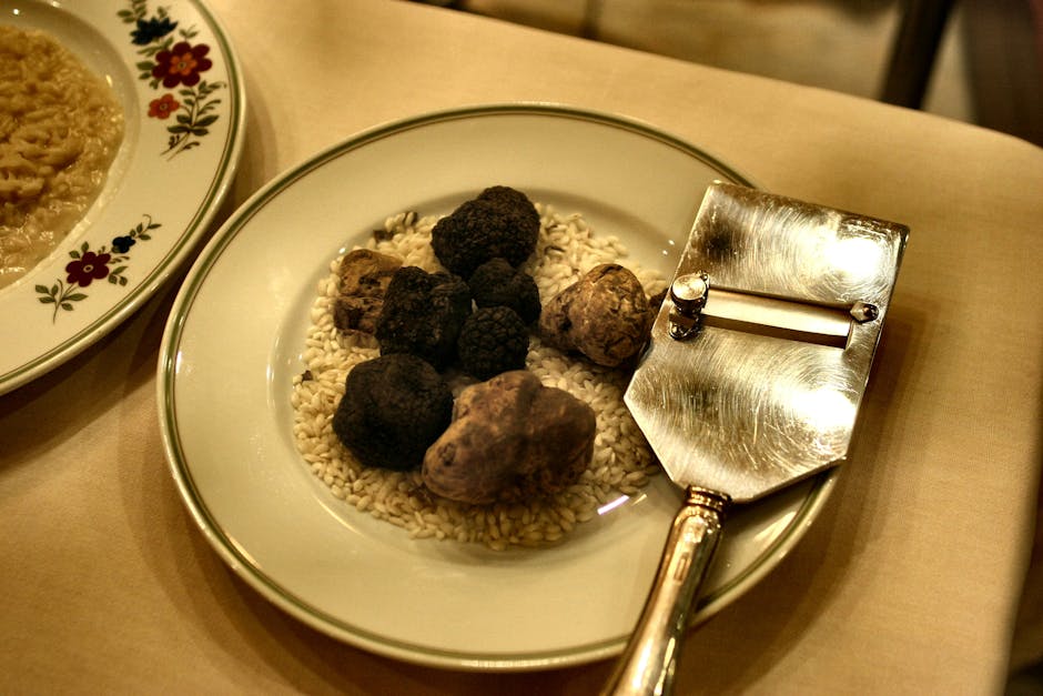 Plate of Alba truffles and risotto with truffle slicer in Piedmont restaurant