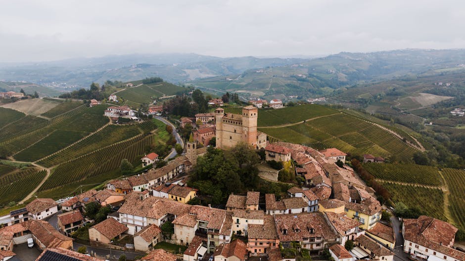Mittelalterliche Burg und Dorf umgeben von Piemont‑Weinbergen