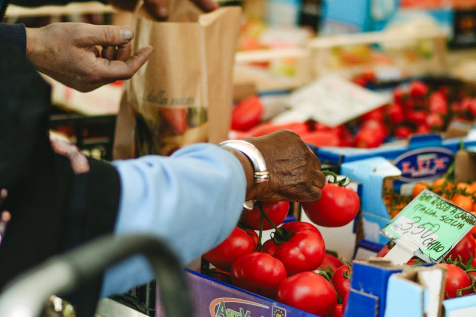 Mano che sceglie pomodori a grappolo rossi al mercato piemontese