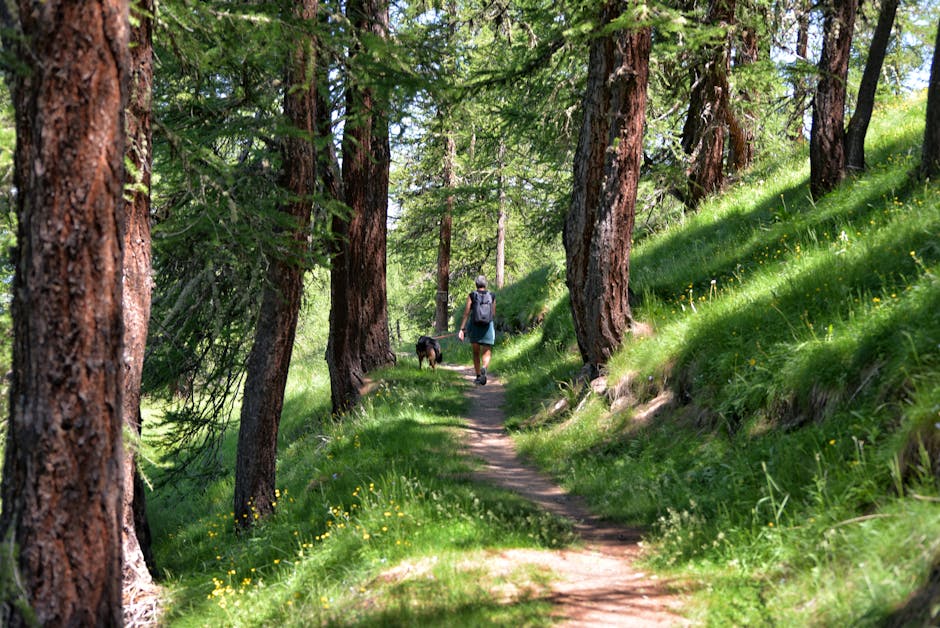 Passeggiata su sentiero boschivo del Piemonte con escursionista e cane