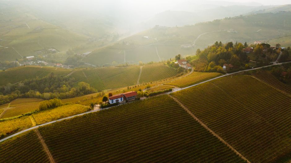 Boerderij langs landweg temidden van gouden wijngaarden in Piémont