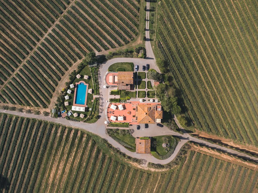 Luchtfoto van landgoed met zwembad omringd door wijngaarden in Latium