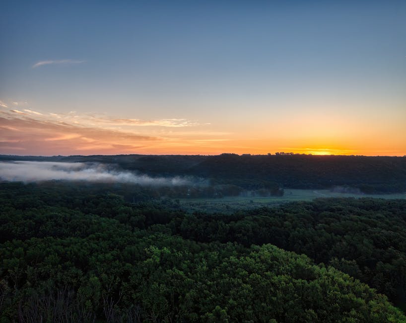 Sunrise over misty forested valley seen from a Latium hilltop