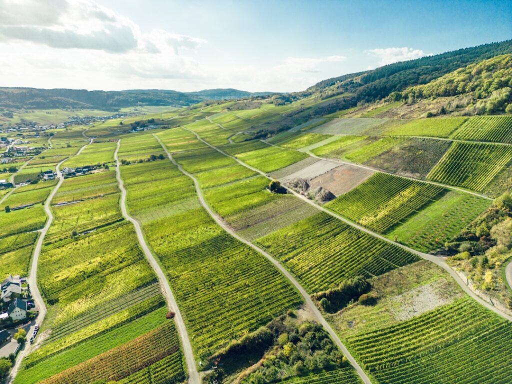 Luchtfoto van glooiende wijngaarden en landweggetjes in Latium