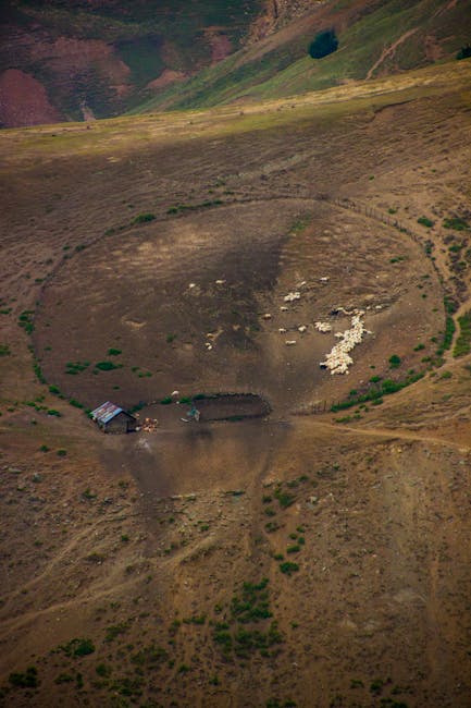Aerial view of circular sheep enclosure with flock and hut in Latium