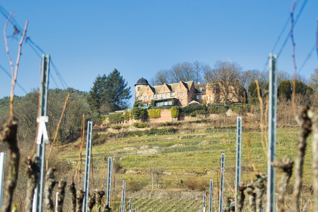 Stone villa perched above terraced vineyards on a Latium hillside