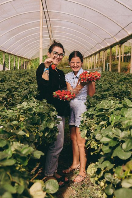 Vrouw en meisje met manden vol aardbeien in kas in Latium