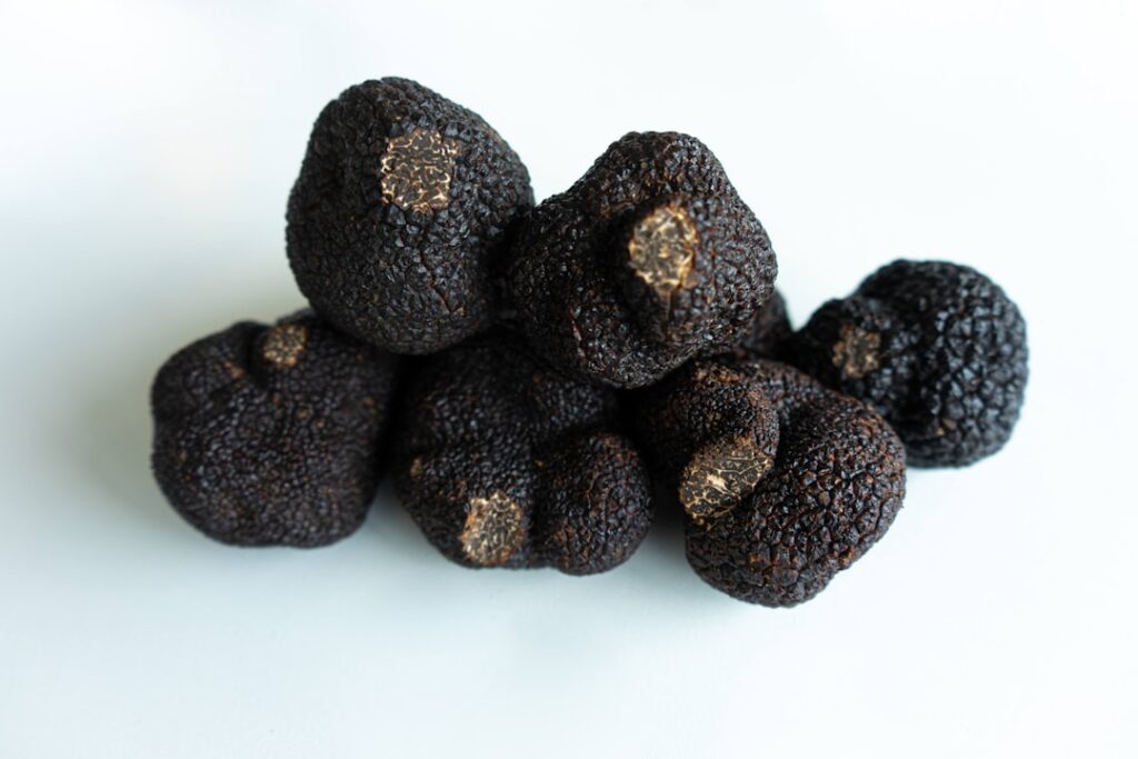 pot met truffels in de koelkast close-up