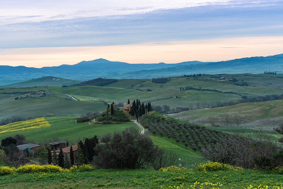 Rolling hills and olive groves near Perugia at sunrise