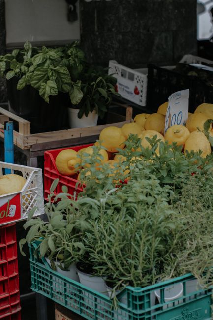 Mercato all'aperto con erbe e prodotti freschi a Perugia
