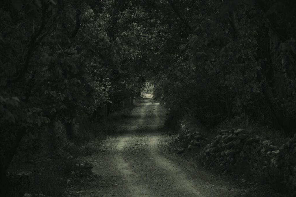 Waldweg bei Nacht zur Eremo delle Carceri, steinige Eremitenhütte im Hintergrund