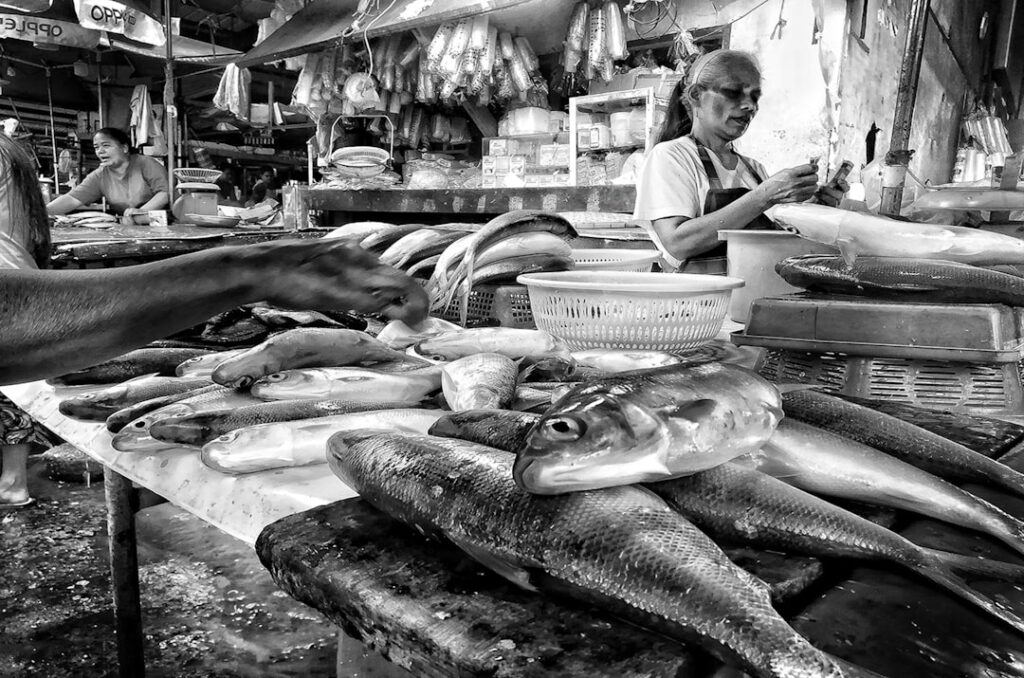 Primo piano di un banco di pesce in Athinas Street al mercato Varvakios