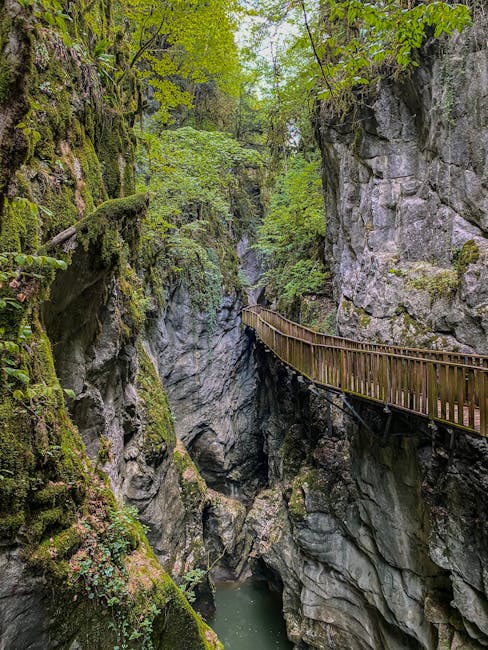 Passerelle en bois accrochée aux falaises mousseuses, gorge verdoyante crétoise