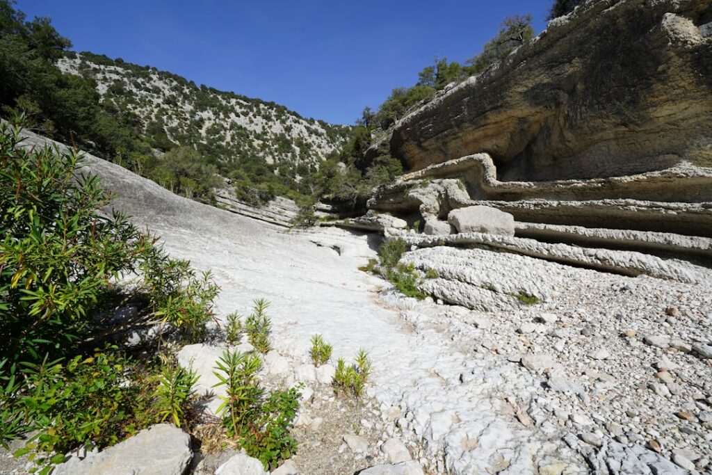 Gelaagde witte kalkrotsen en lage struiken in een Kreta-kloof