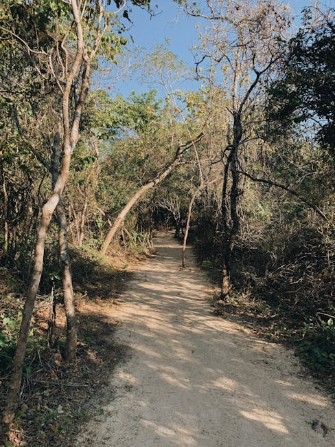 Schaduwrijk wandelpad door mediterrane struiken op Kreta