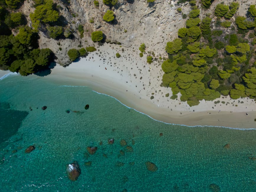 Turquoise water langs een afgelegen zandstrand omgeven door pijnbomen op Kreta