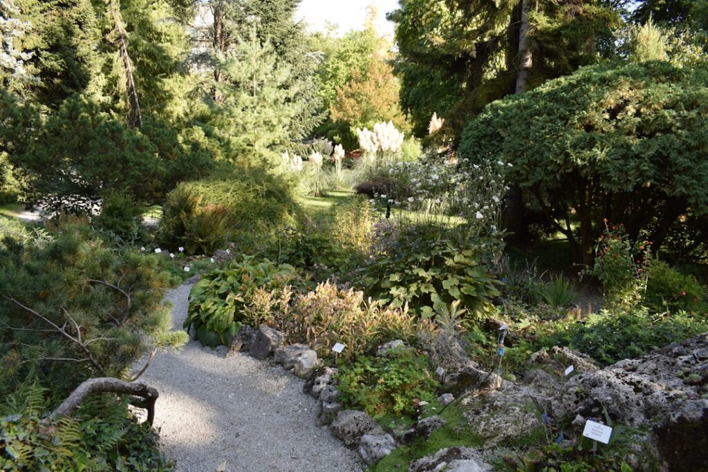 Sentier gravillonné dans un jardin botanique, massifs et panneaux descriptifs