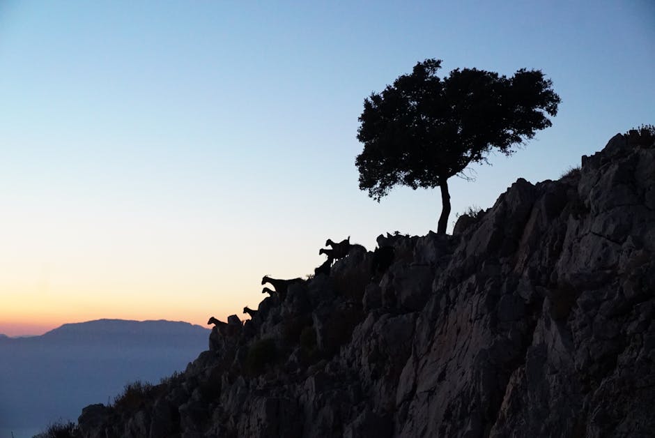 Silhouetten van geiten op rotsrand bij zonsondergang op Kreta