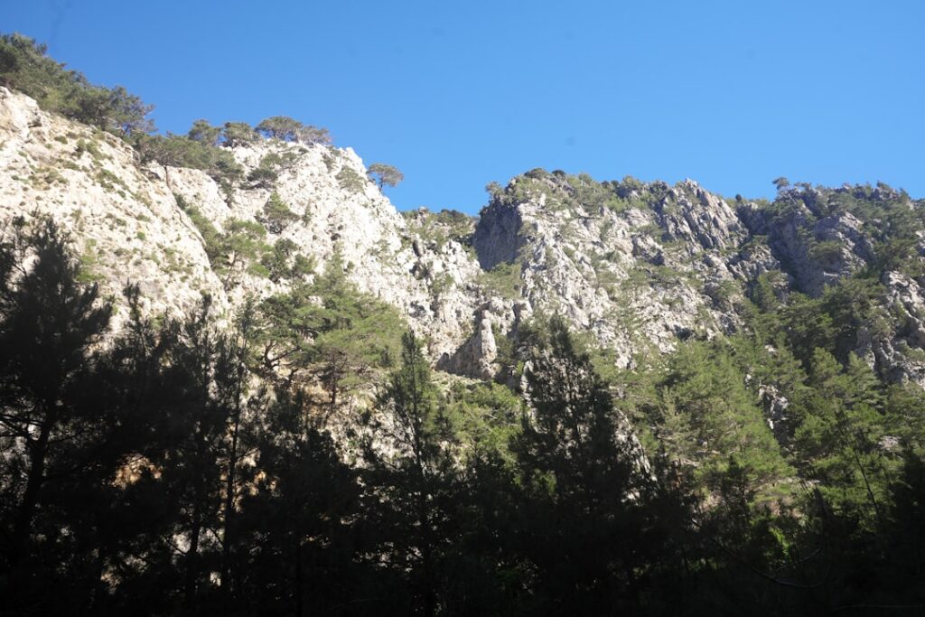 Falaises calcaires escarpées avec pins et ombres, gorge en Crète