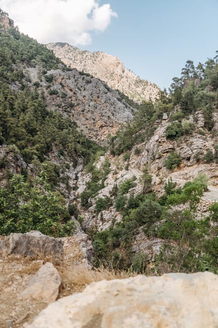 Vue aérienne d'une gorge rocheuse couverte de pins sur l'île de Crète