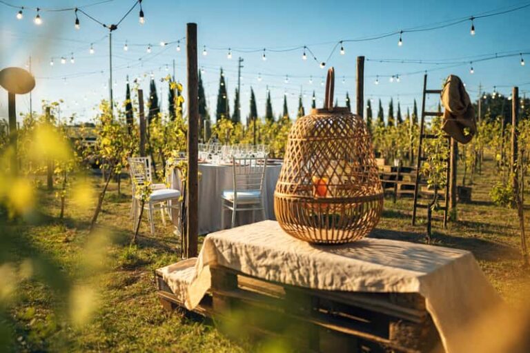 Dîner parmi les vignes au coucher
