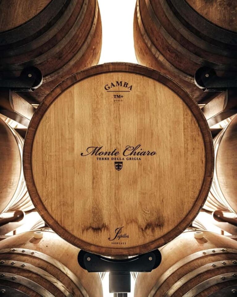 Expérience œnologique courte au Chianti