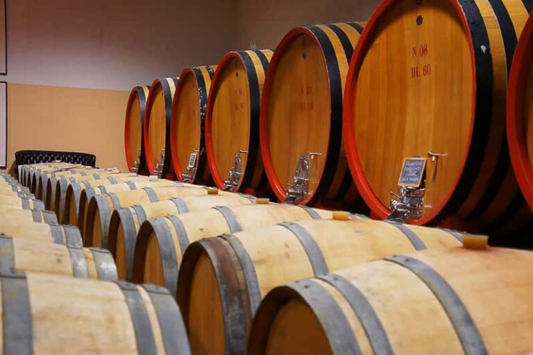 Visite guidée Brunello avec déjeuner