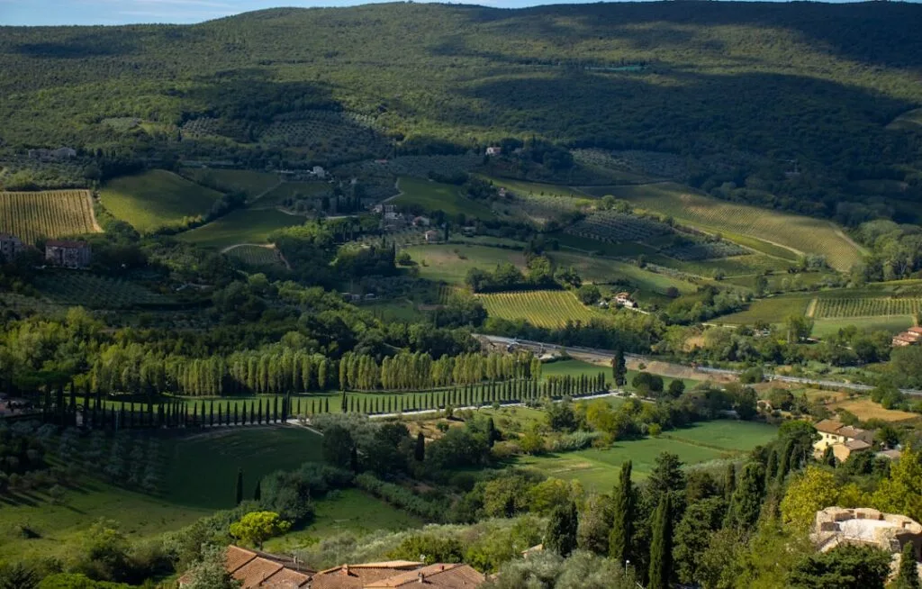 Vallon du Chianti près de Sienne, rangées de cyprès et vignes