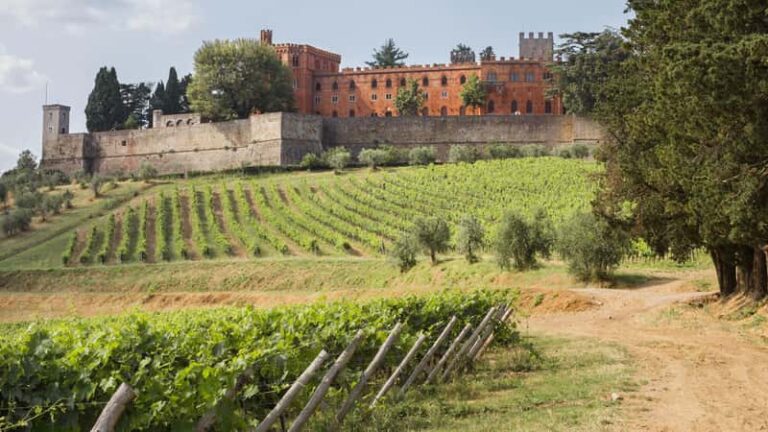 Tagesausflug: Besuche und Weingüter im Chianti