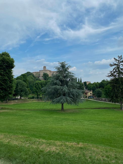Fortezza Medicea park