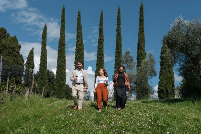 Visite complète d’un vignoble biologique à Sienne
