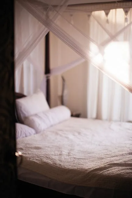 Chambre d'hôtel avec lit à baldaquin et moustiquaire, lumière douce.