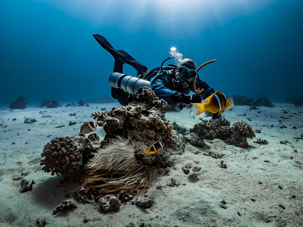 Attrezzatura sub e per snorkeling posata sul ponte di un catamarano prima dell’immersione
