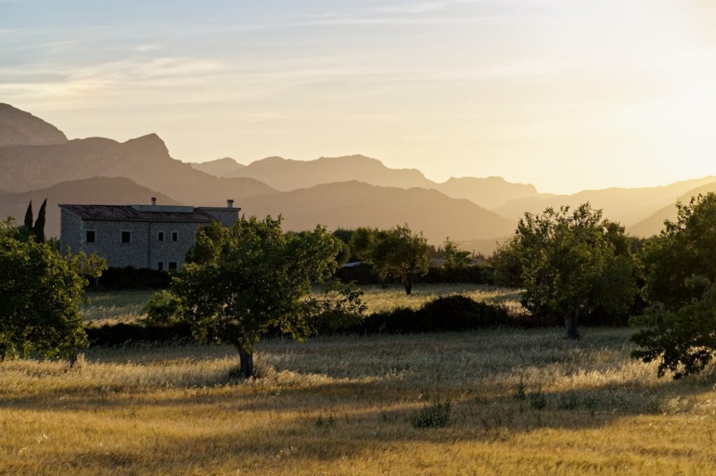 Campagna al tramonto con casale in pietra e alberi sparsi