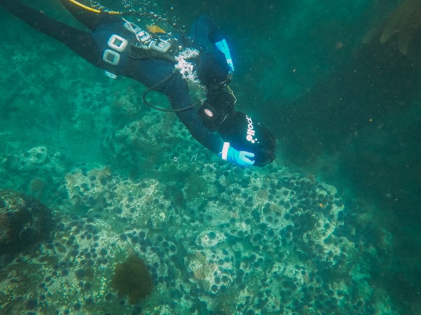 Scuba diver in black wetsuit hovering above rocky seabed near Rhodes