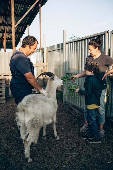 Children feeding goats at a Corfu farm