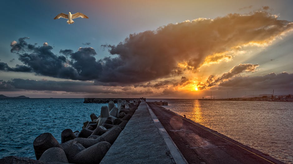 Mole bei Sonnenuntergang mit Möwe über dem Hafen von Mykonos