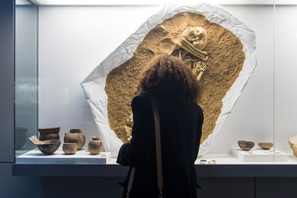 Visiteur de dos devant un squelette fossilisé au musée archéologique