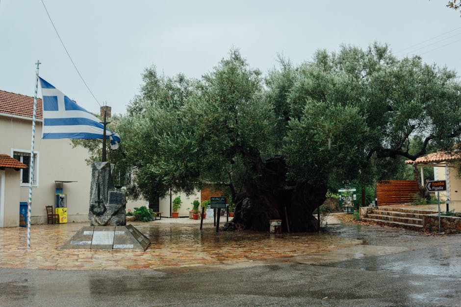 Village square in Mykonos with Greek flag and ancient olive tree