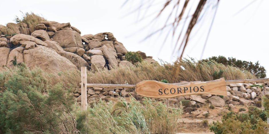 Houten Scorpios-bord tussen rotsen en gras op Mykonos kust