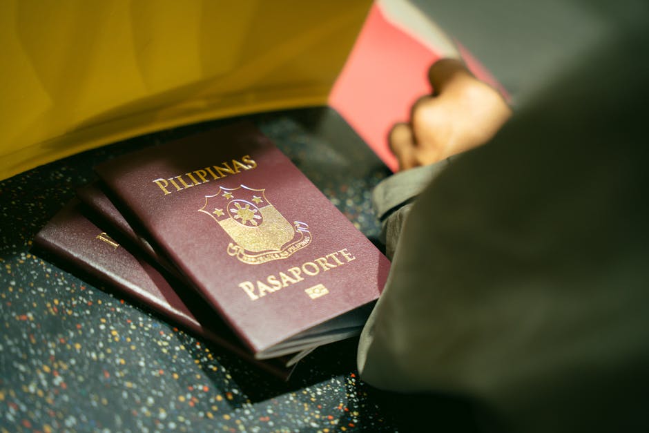 Controllo passaporti