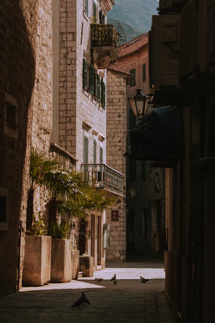 Smalle geplaveide steeg in Kotor met palmbakken en duiven