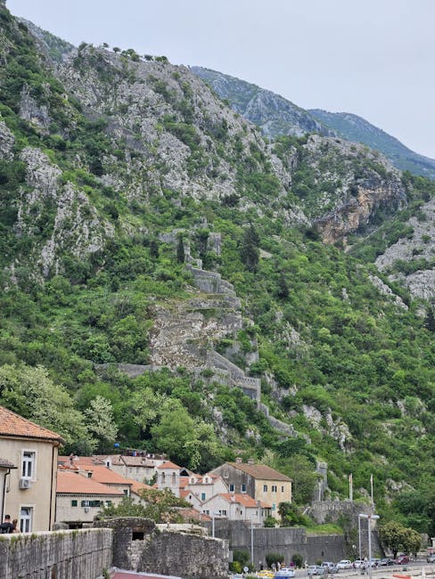 Steinerne Festungsmauern winden sich den Berg hinauf über Kotor.