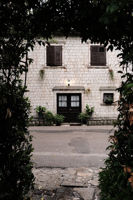Eingang eines steinernen Hauses in Kotor, umrahmt von grünem Laub