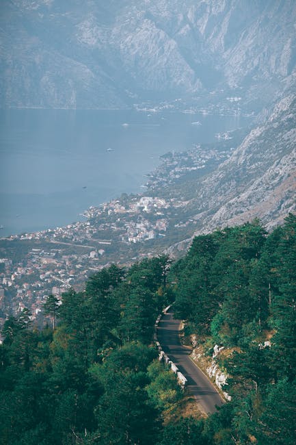 Winding mountain road through pine trees overlooking Kotor Bay coastline