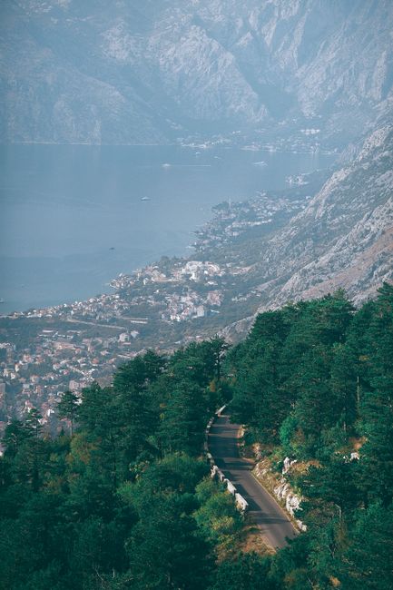 Salita asfaltata che scende tra i boschi con vista sulla Baia di Kotor